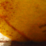 cropped-header_platzhalter-1-1.png